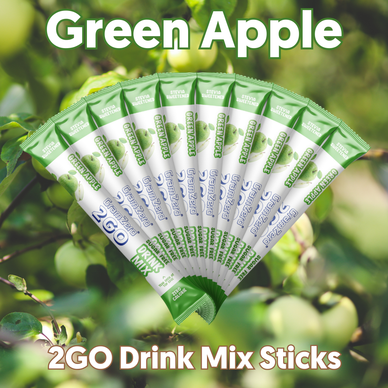 GREEN APPLE 2GO Sugar Free Drink Mix Sticks: 10 Pack ~ Great for Loaded Tea Kits