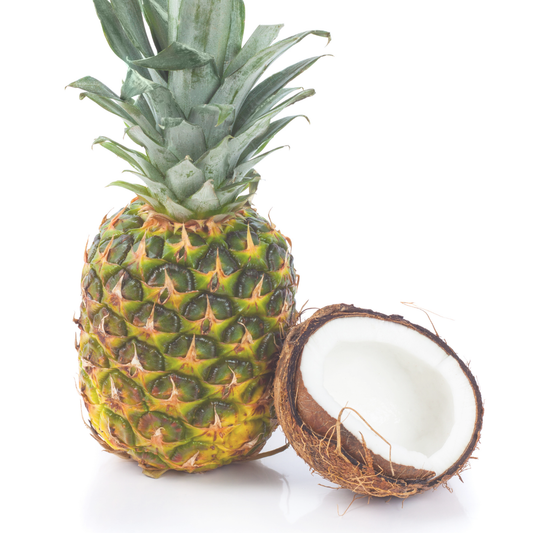 PINA COLADA 2GO Sticks - Sugar Free Drink Mix with Natural Colors and Flavors: 10 Pack - Great for Loaded Tea Kits