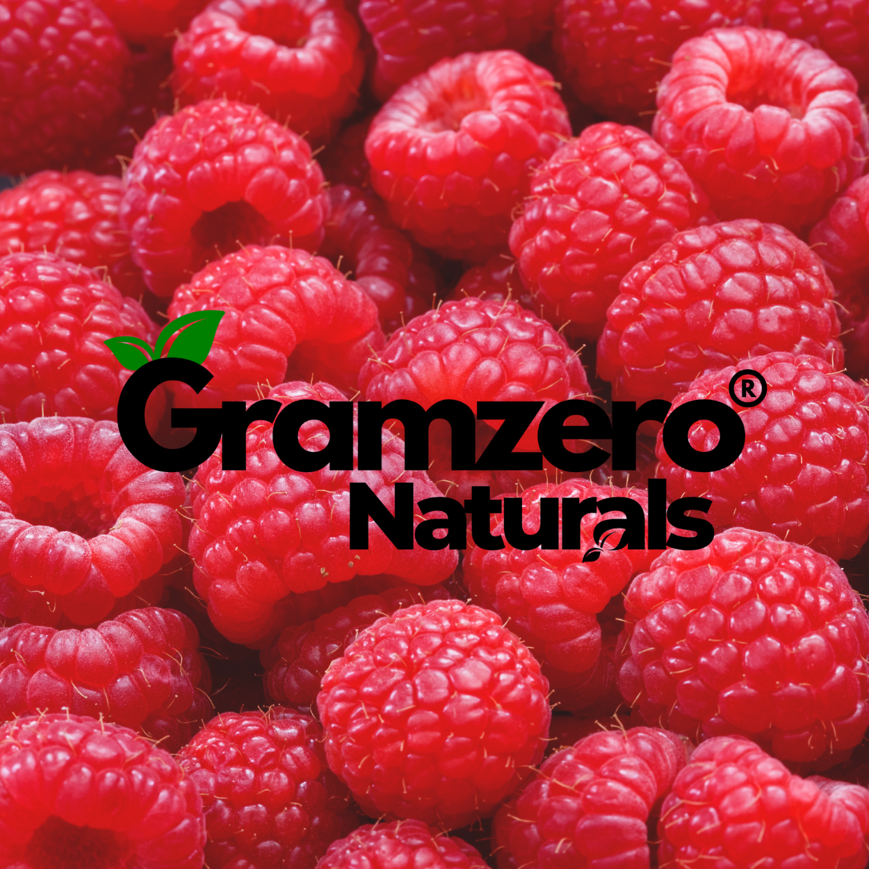 RED RASPBERRY ALL NATURAL Sugar Free Drink Mix Stevia Sweetened 4.5oz