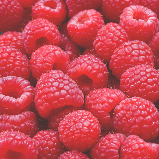 RED RASPBERRY 2GO Sticks - Sugar Free Drink Mix with Natural Colors and Flavors: 10 Pack - Great for Loaded Tea Kits