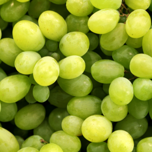WHITE GRAPE Zero Calorie Sugar Free Drink Mix, Stevia Sweetened, Great for Loaded Tea, 4.5 Oz