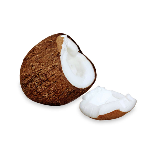 COCONUT Sugar Free Pudding Mix, Stevia Sweetened, Great For Nutrition Club Shakes, 3.4 Oz