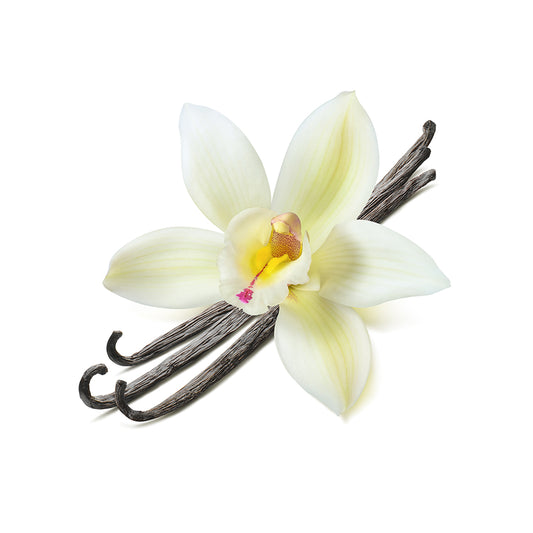 VANILLA Sugar Free Pudding Mix, Stevia Sweetened, Great For Nutrition Club Shakes, 3.4 Oz