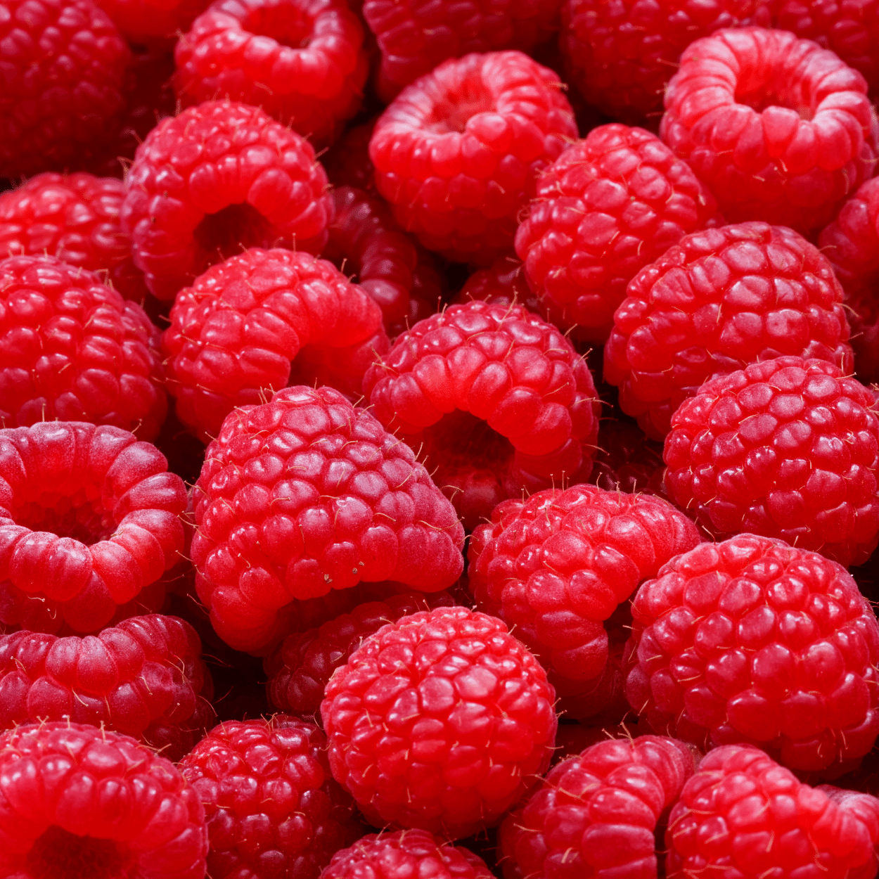 RED RASPBERRY Zero Calorie Sugar Free Drink Mix, Stevia Sweetened, Great for Loaded Tea, 4.5 Oz