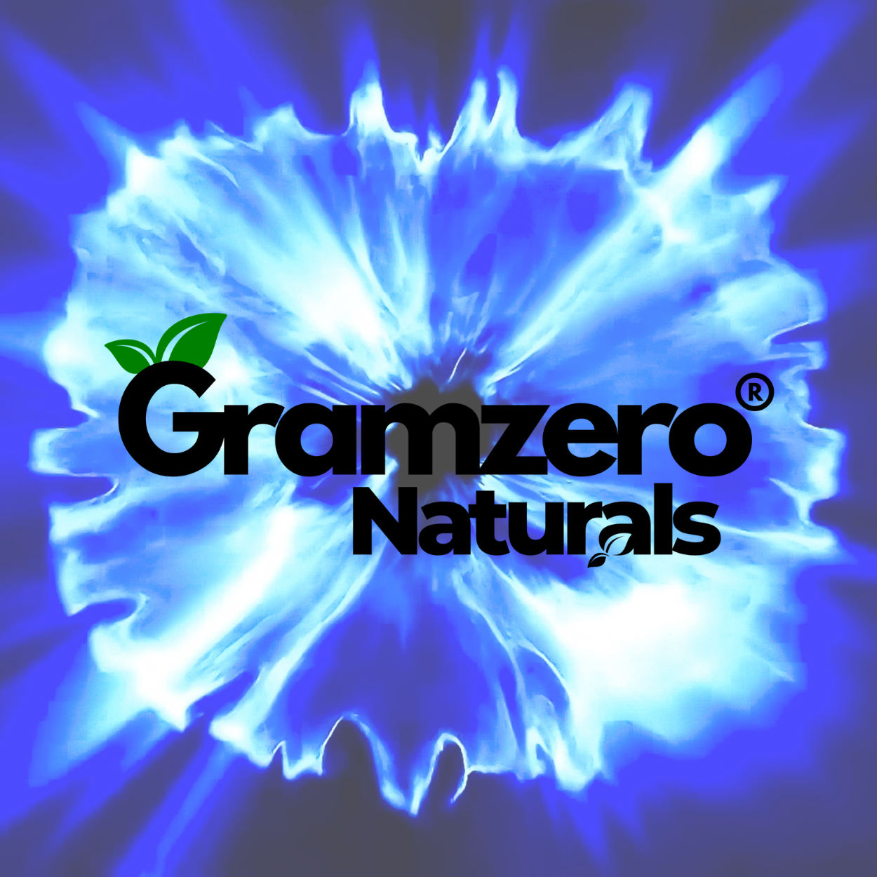 Flavored Drink Mixes by GramZero