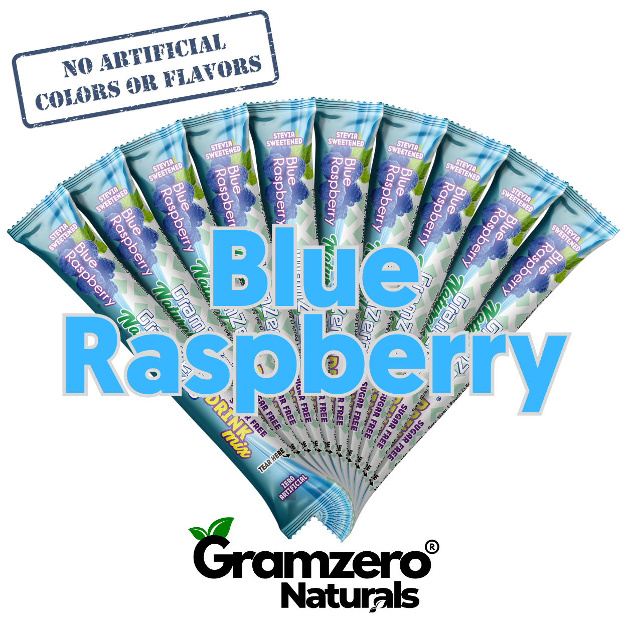 BLUE RASPBERRY ALL NATURAL 2GO Sugar Free Drink Mix Sticks: 10 Pack - Great for Loaded Tea Kits