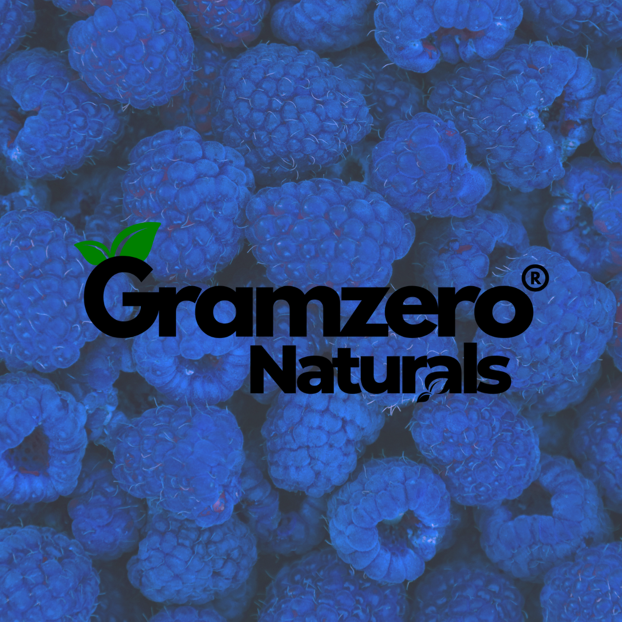 BLUE RASPBERRY ALL NATURAL 2GO Sugar Free Drink Mix Sticks: 10 Pack - Great for Loaded Tea Kits