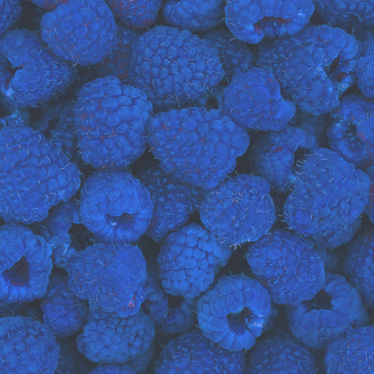 BLUE RASPBERRY 2GO Sticks - Sugar Free Drink Mix with Natural Colors and Flavors: 10 Pack - Great for Loaded Tea Kits