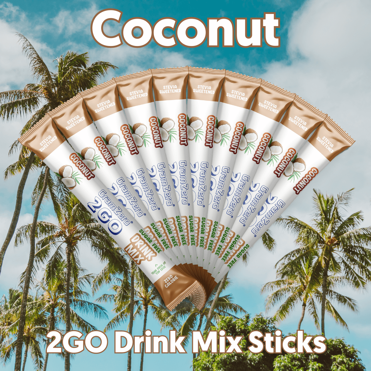 COCONUT 2GO Sugar Free Drink Mix Sticks: 10 Pack ~ Great for Loaded Tea Kits