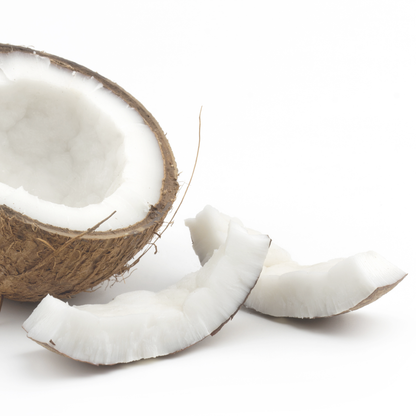 COCONUT 2GO Sticks - Sugar Free Drink Mix with Natural Colors and Flavors: 10 Pack - Great for Loaded Tea Kits