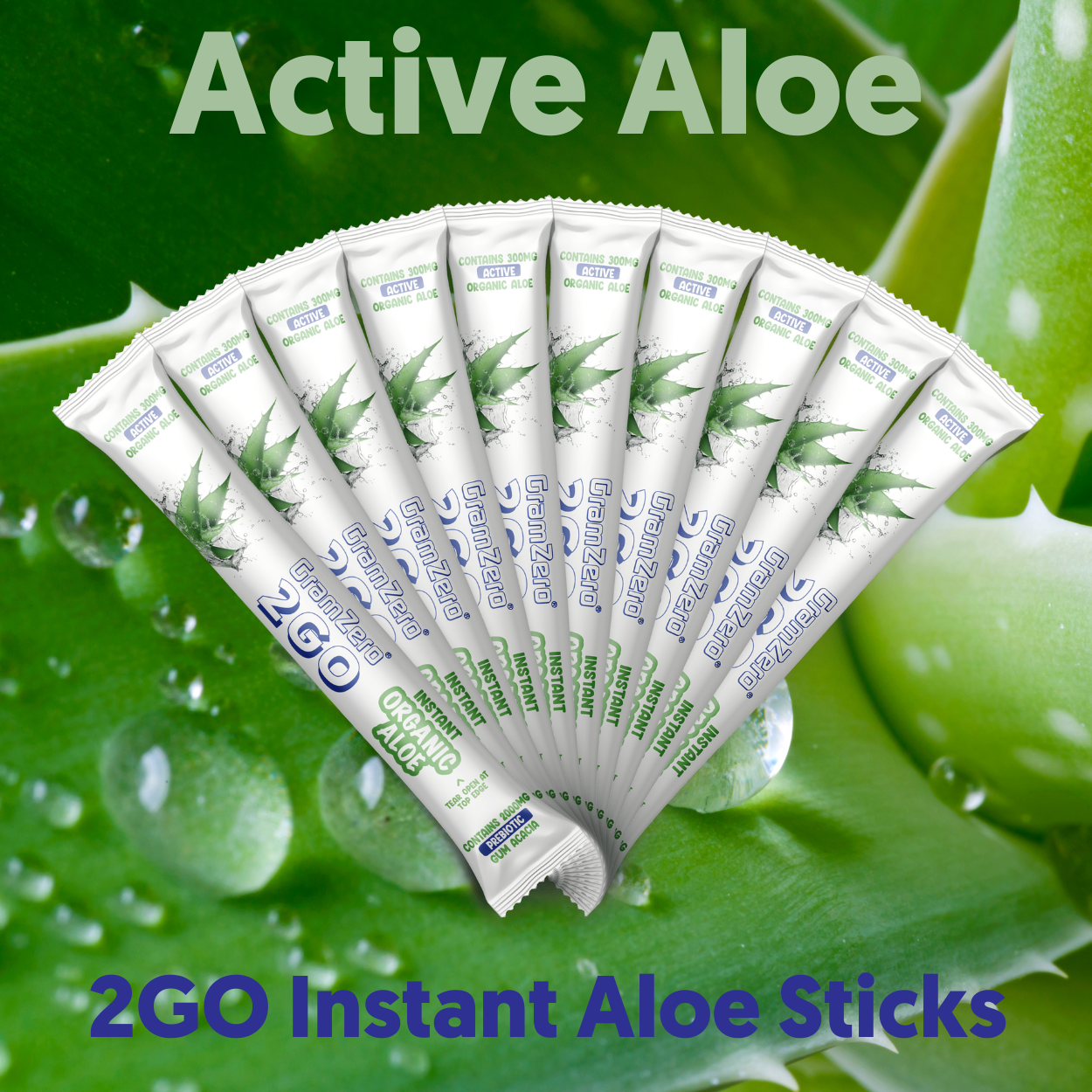Organic ALOE 2GO Stick Packs: Instant Active Aloe Mix