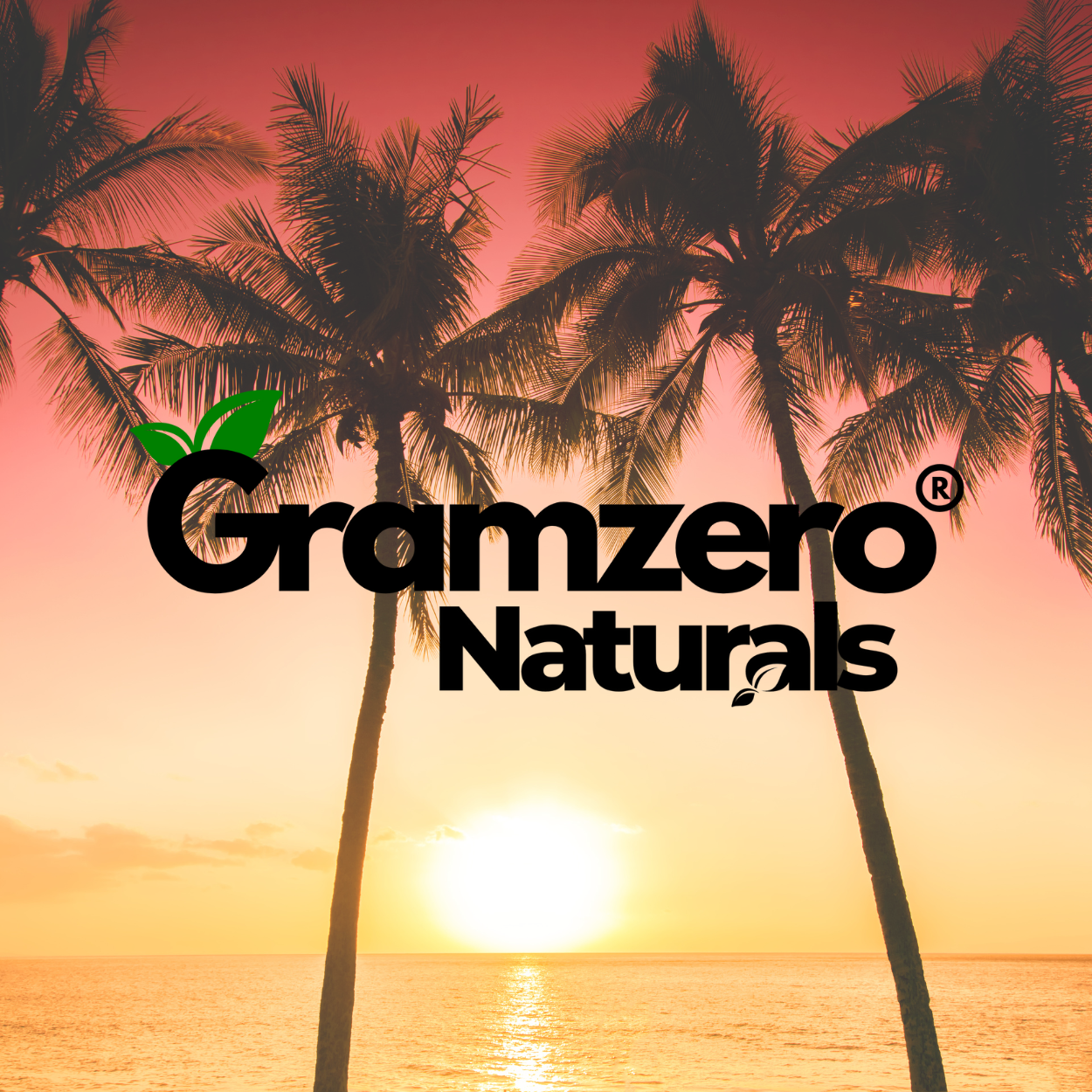 TROPICAL PUNCH ALL NATURAL 2GO Sugar Free Drink Mix Sticks: 10 Pack - Great for Loaded Tea Kits